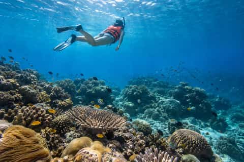 Racha snorkeling, Racha Island (Raya)