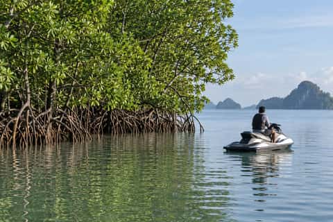 Mangrove edge, Naka Islands