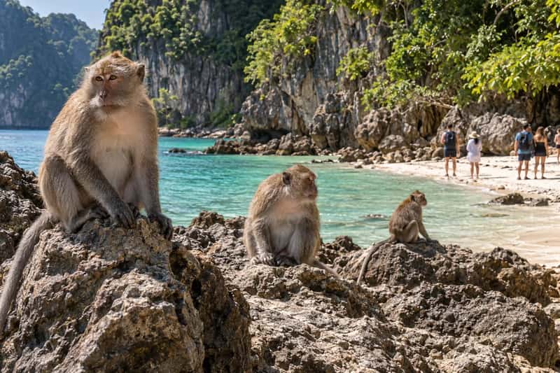 Phi Phi, Maya Bay & Khai Island by Speedboat 4