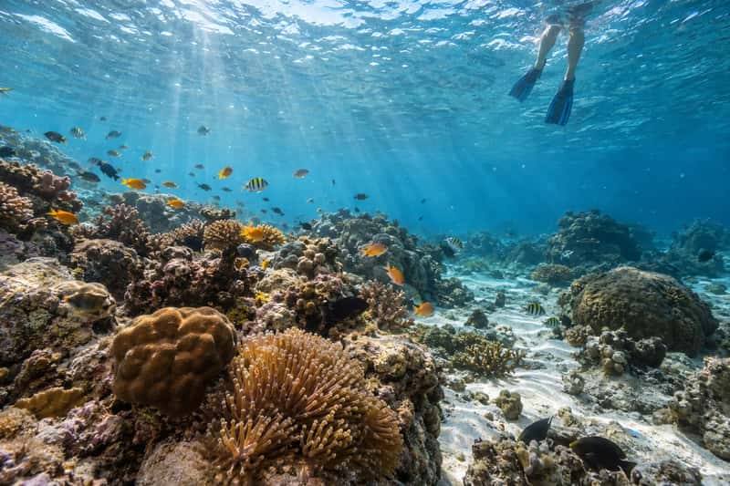 Shallow clear water over sand and rocks at Coral Island